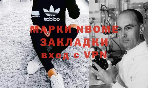 сатива Ростов