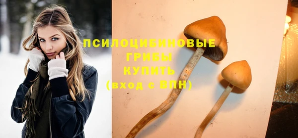 крисы Беломорск